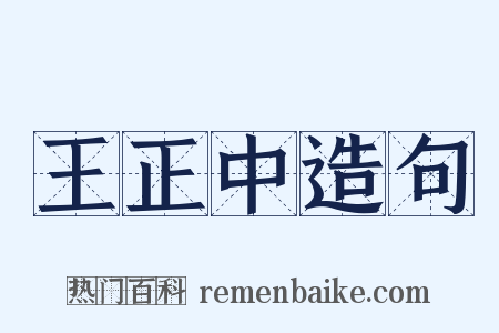 王正中造句是什么意思的图片